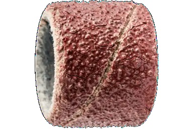 Pferd Abrasive Spiral Band 13 x 10mm Grit 80